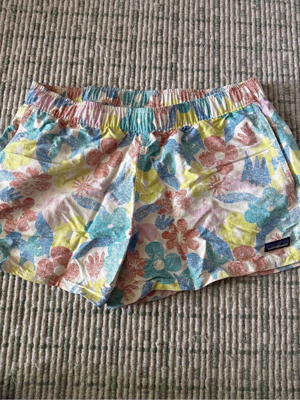 Patagonia Baggies Shorts